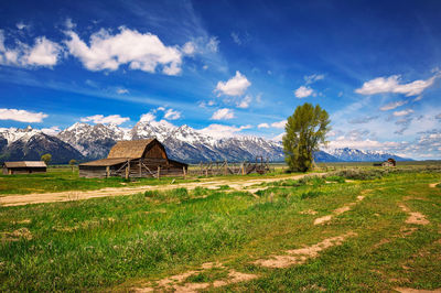 Houses on field against sky