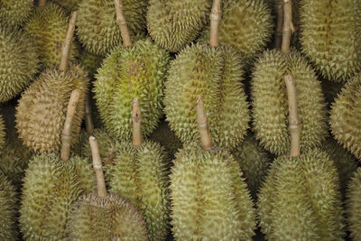 Durian fruit at the market