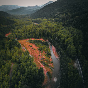 High angle view of trees and mountains