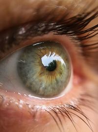 Full frame shot of human eye