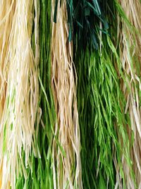 Close-up of wheat growing on grass