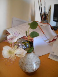 Close-up of potted plant on table at home