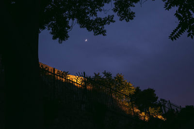 Low angle view of silhouette trees against sky at night