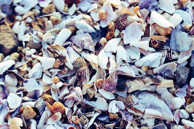 Full frame shot of dry leaves