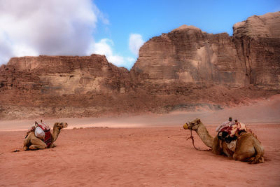 People sitting on rock formations in desert