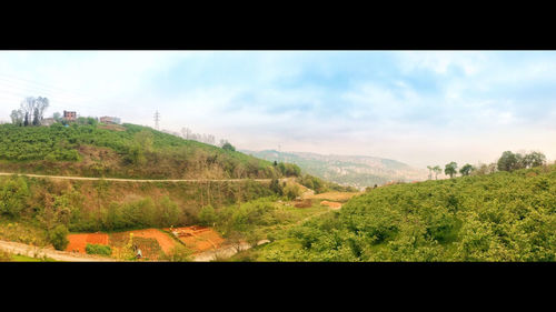 Scenic view of landscape against sky