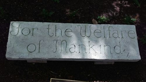 High angle view of text on plant at cemetery