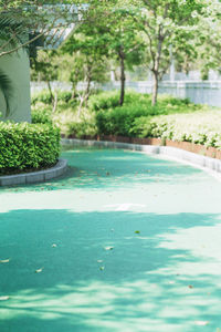 Swimming pool in park