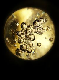 Close-up of water drops against black background