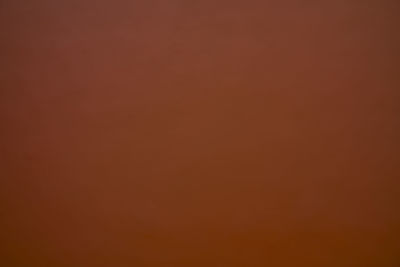 Full frame shot of orange wall