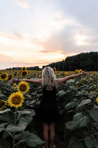 Rear view of woman standing on sunflower field against sky during sunset