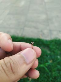 Cropped hand holding tiny mushroom