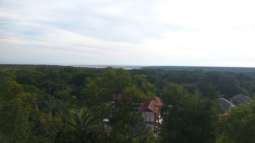 Scenic view of landscape by sea against sky