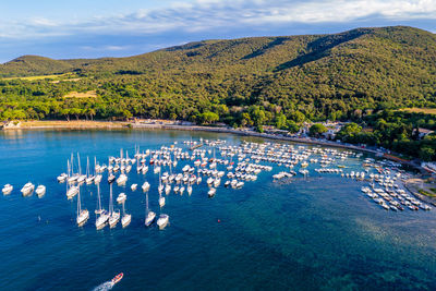 High angle view of trees by sea against sky