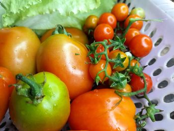 High angle view of fresh tomatoes