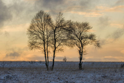 Scenic view of field against sky during sunset