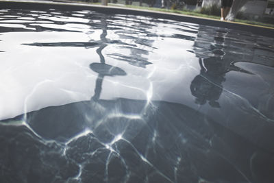 Close-up of swimming in water