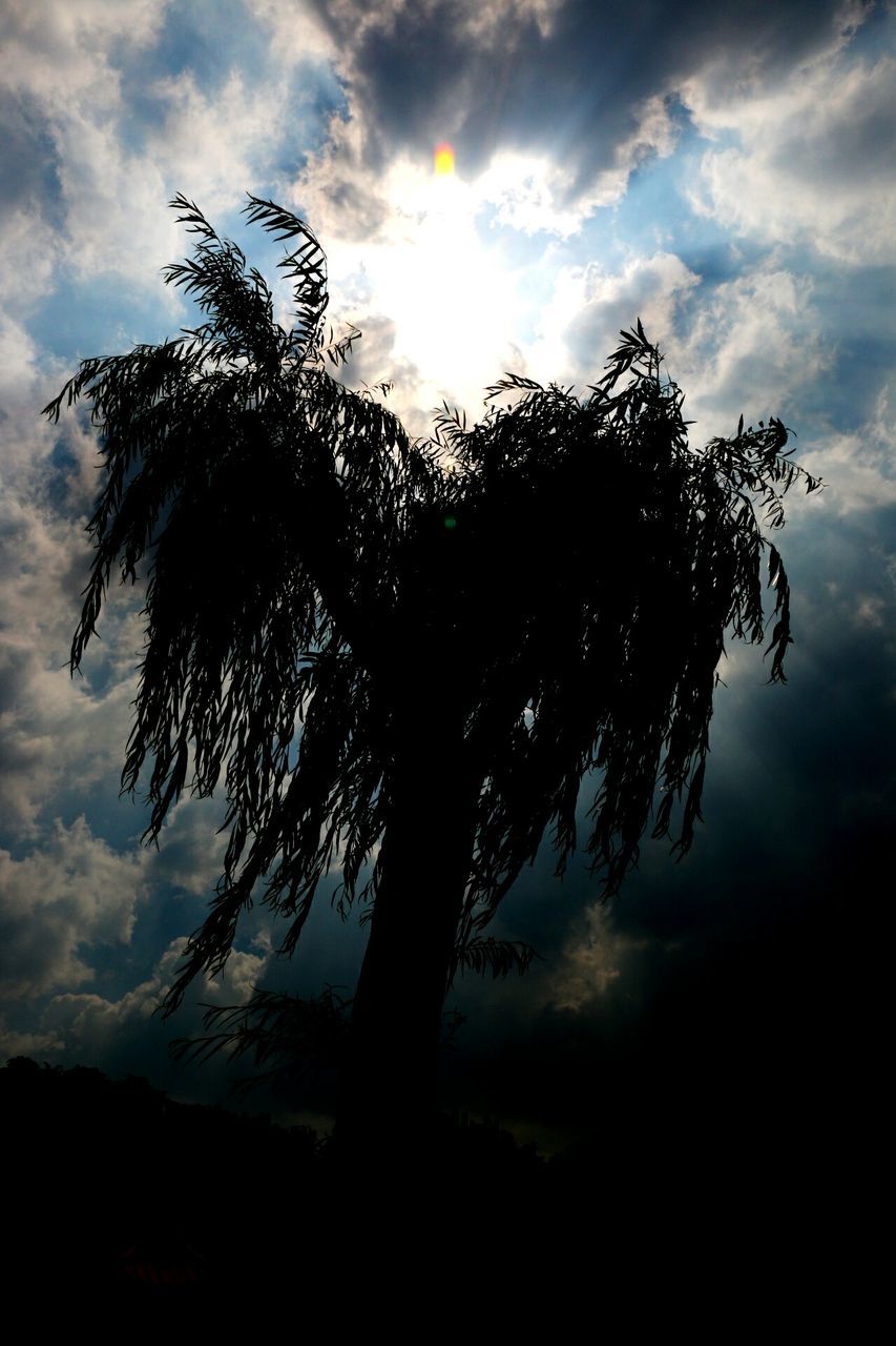 SILHOUETTE TREES ON FIELD AGAINST CLOUDY SKY