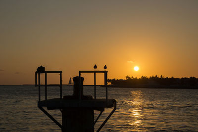 Birds perching on railing by sea during sunset