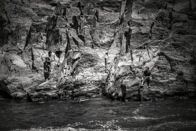 Close-up of tree against water
