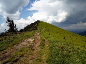 Scenic view of field against sky