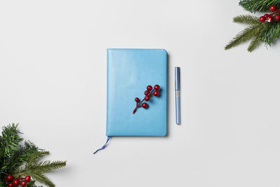 Directly above shot of christmas tree against white background