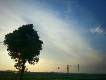 Trees on field against cloudy sky