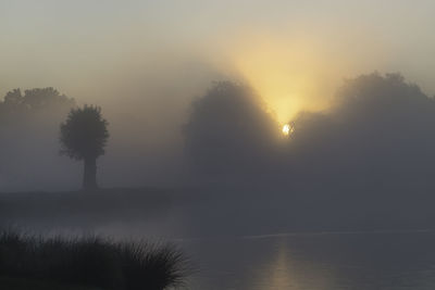 Silhouette trees by lake against sky during sunset