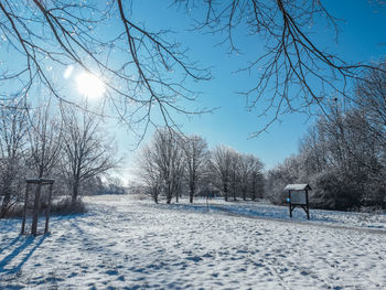 Bare trees on snow covered field against sky