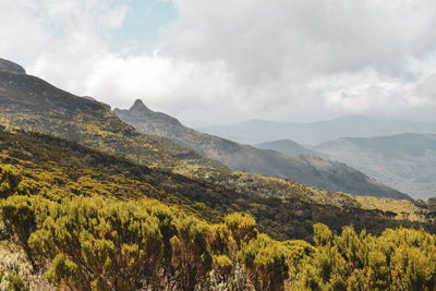 Volcanic rock formations at aberdare ranges on the flanks of mount kenya