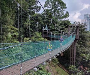 Father and son running on footbridge amidst forest