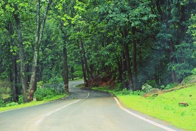Empty road amidst trees in forest