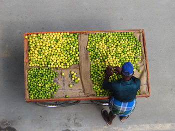 High angle view of man selling lemons 