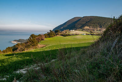 Scenic view of green landscape by sea against clear sky