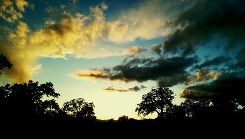 Silhouette of trees against cloudy sky