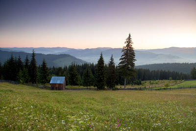 Scenic view of landscape against clear sky