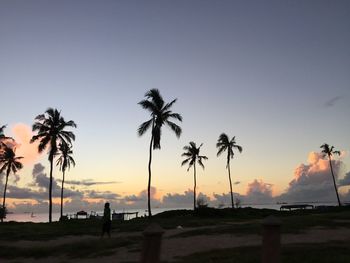 Palm trees against sea during sunset