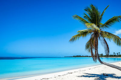 Scenic view of sea against clear blue sky