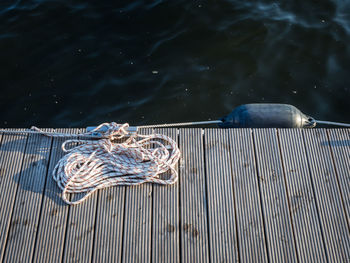 High angle view of fish on pier