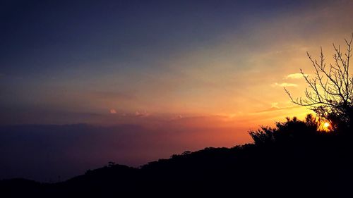 Silhouette of trees at sunset