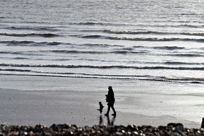 Silhouette person with dog walking at beach