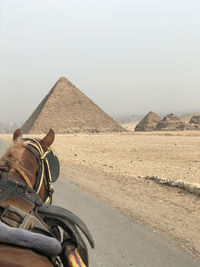 Horse by desert against sky