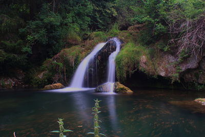 Scenic view of waterfall in forest