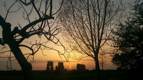 Silhouette trees against sky at dusk