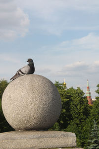View of bird on rock against sky