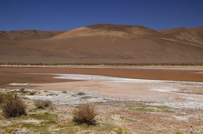 Scenic view of desert against clear sky