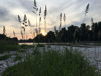 Scenic view of grassy field against cloudy sky