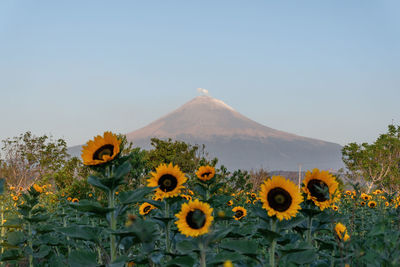 Rear view of woman standing on mountain against sky