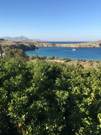 Scenic view of sea against clear blue sky