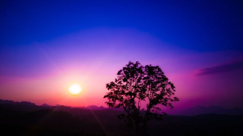 Silhouette tree against sky during sunset